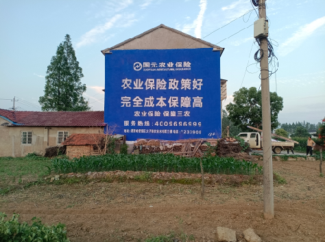 汉阴墙体广告为何受追捧？